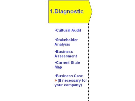 Going beyond lean assessments, full diagnostic toolkit for lean manufacturing